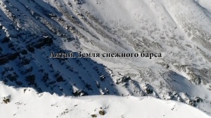 На Алтае снят фильм о снежном барсе