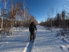 Приглашаем на лыжную познавательную прогулку!
