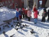 Подведение итогов экологической акции "Поможем птицам зимой!"