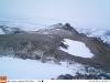 В Республике Алтай найдены новые места обитания снежного барса
