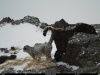 Впервые за 5 лет в Горном Алтае полноценно исследуют снежного барса на плато Укок